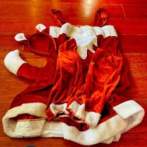 Fox Halloween Costume